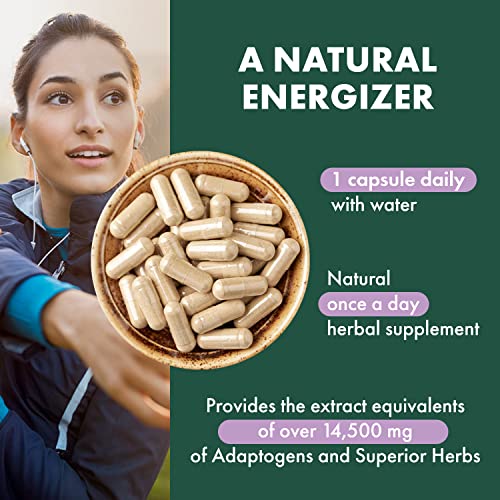 Version 1.0.0 Ingredientes naturales en multivitaminico PURE ESSENCE LABS mujeres