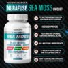 Ingredientes naturales Nurafuse Sea Moss 16-en-1