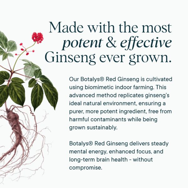 Ingredientes naturales Ora Organic para salud cerebral