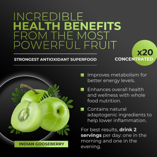 Ingredientes naturales de polvo súper alimento Amla Green