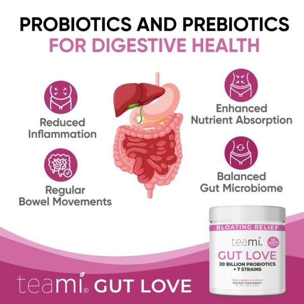 Ingredientes naturales polvo Teami para salud intestinal