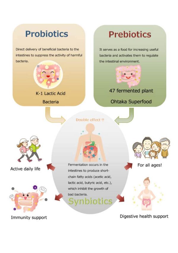Ingredientes naturales prebióticos fermentados SynB