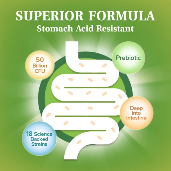 Ingredientes naturales probióticos NatureMyst para salud intestinal