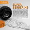 Ingredientes naturales suplemento berberina cúrcuma ginseng