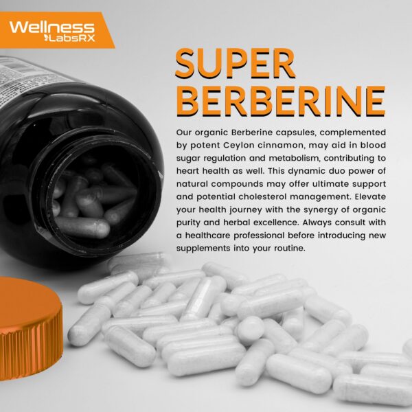 Ingredientes naturales suplemento berberina cúrcuma ginseng