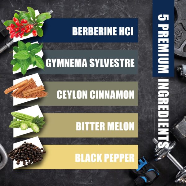 Ingredientes naturales suplemento BMVINVOL berberina