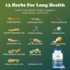 Ingredientes naturales para salud pulmonar ClearLungs cápsulas