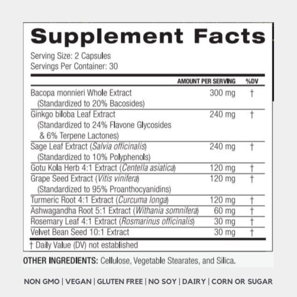 Ingredientes naturales suplemento nootrópico PALO FOCUS