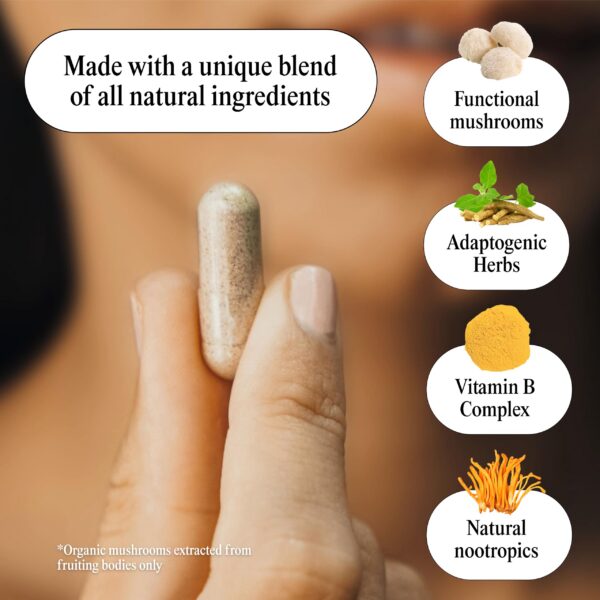 Version 1.0.0 Ingredientes naturales en suplemento nootrópico Mindhoney adaptógenos