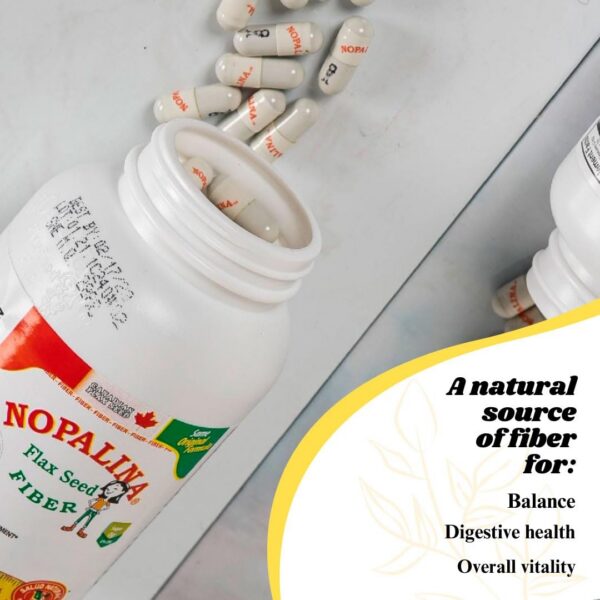 Ingredientes naturales de Nopalina fibra de semilla de lino