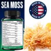 Ingredientes naturales orgánicos en cápsulas Sea Moss