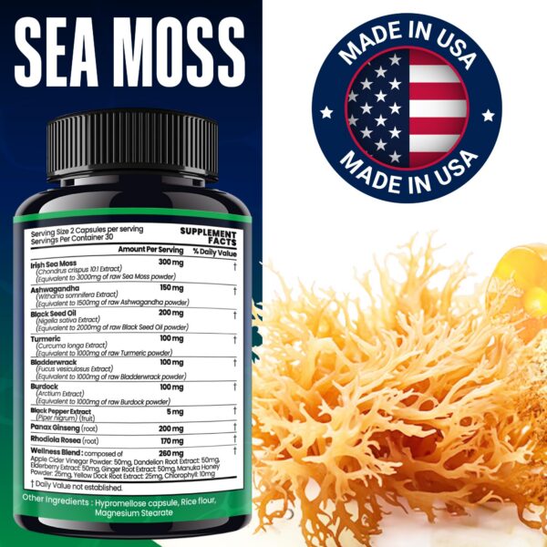 Ingredientes naturales orgánicos en cápsulas Sea Moss