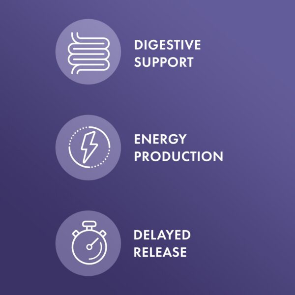 Lista de ingredientes: bilis y ATP