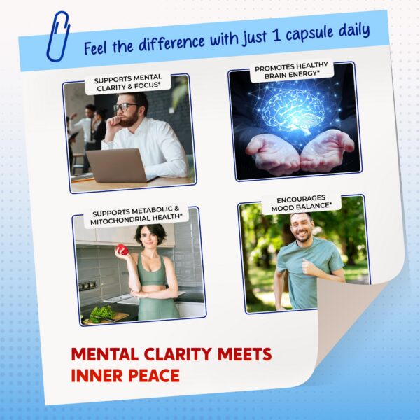 Version 1.0.0 Detalle de ingredientes de Peakpury