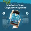 Ingredientes potentes para apoyo cerebral avanzado