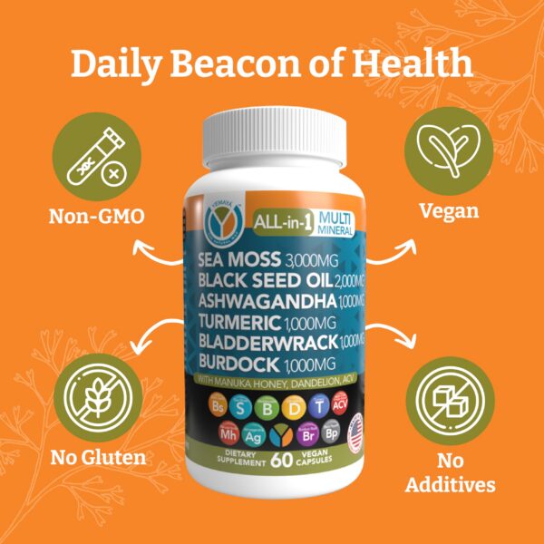 Ingredientes clave: Sea Moss y aceite semilla negra