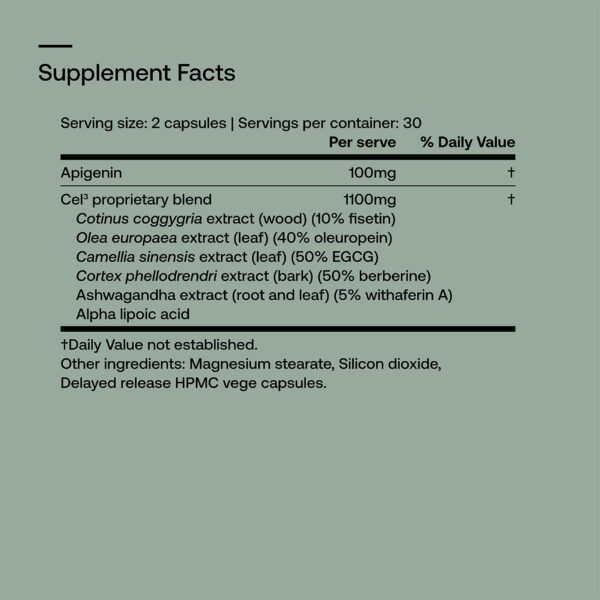 Version 1.0.0 Ingredientes de SRW Cel³ Renewal