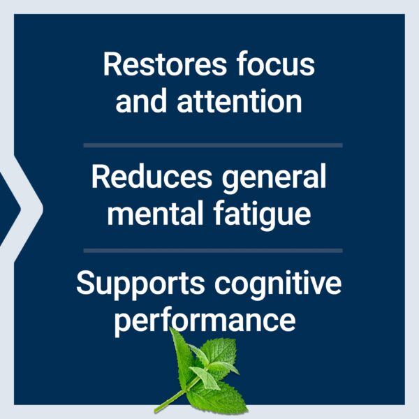 Ingredientes del suplemento Alivio de Niebla Mental