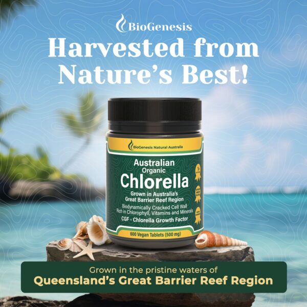 Ingredientes naturales en tabletas clorella australianas