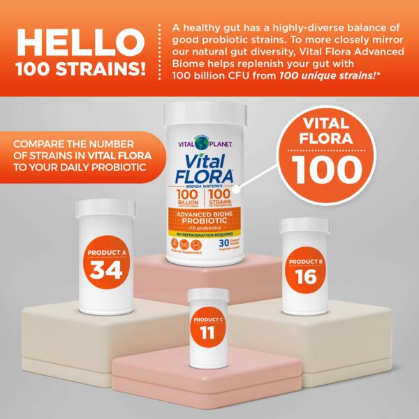 Ingredientes Vital Flora Probiótico Vital Planet