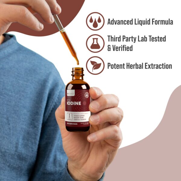 Lista de 11 ingredientes premium