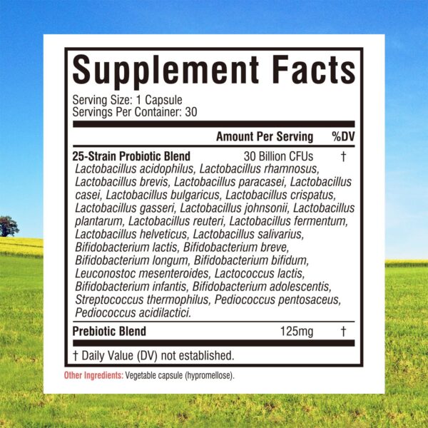 Version 1.0.0 Detalle de cápsula de liberación retardada