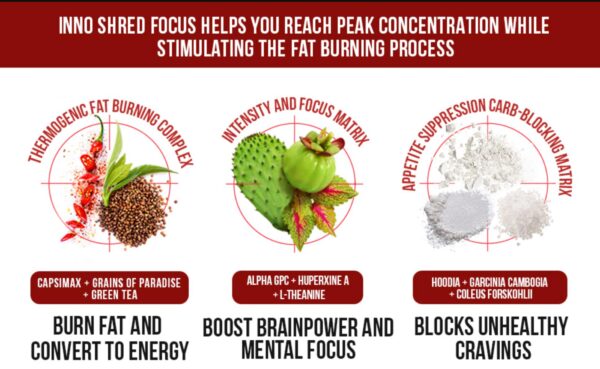 Version 1.0.0 Inno Shred Focus Day Time Fat Burner cápsulas vegetales