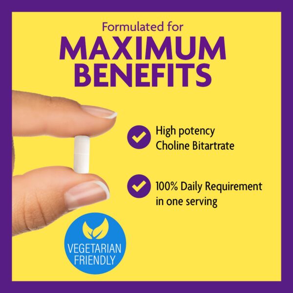 Version 1.0.0 Envase de 100 cápsulas en estante