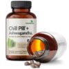 Instrucciones y detalles de Futurebiotics Chill Pill y sus ingredientes
