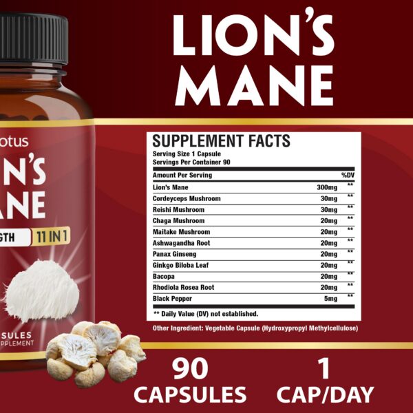 Instrucciones suplemento Zolotus Melena de León 11 en 1