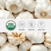 Instrucciones uso One Farm Superfood Powder salud intestinal