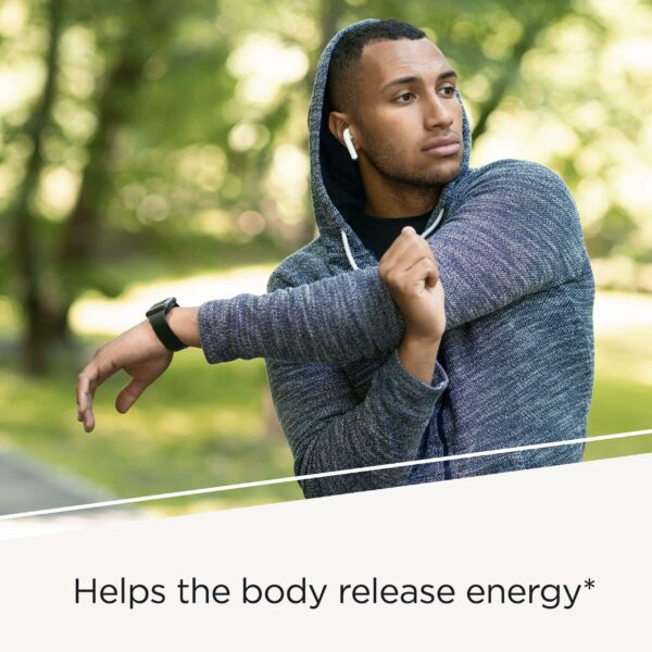 Version 1.0.0 Frasco lateral de Riboflavina Integrative Therapeutics