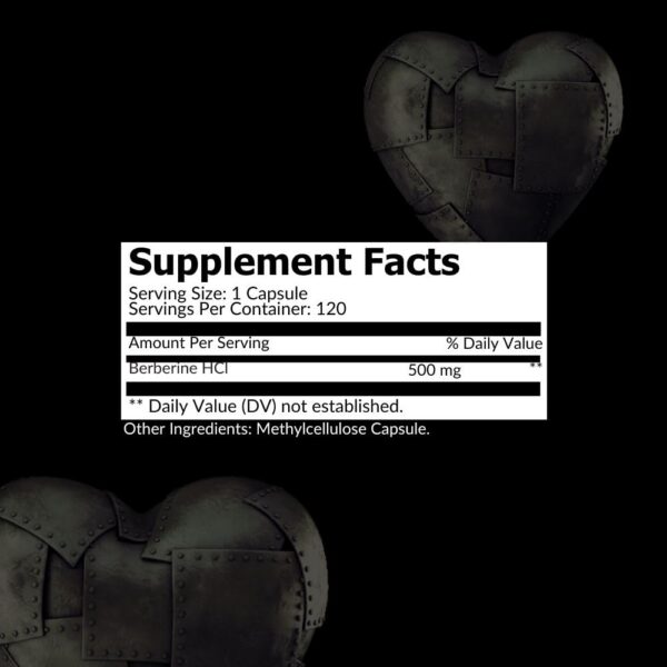 Etiqueta frontal Intelligent Labs Berberina HCl Plus