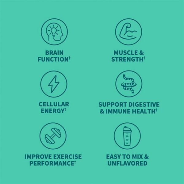 Interior del envase con porciones