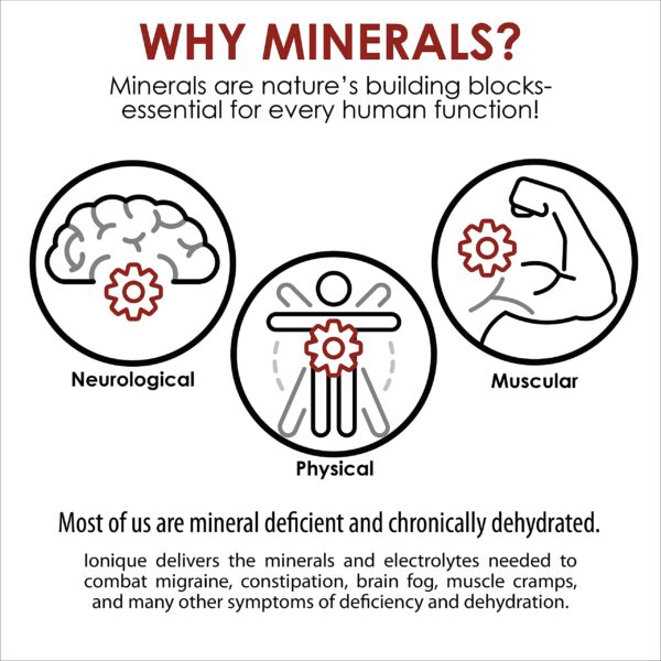 Interior de gotero Ionique original