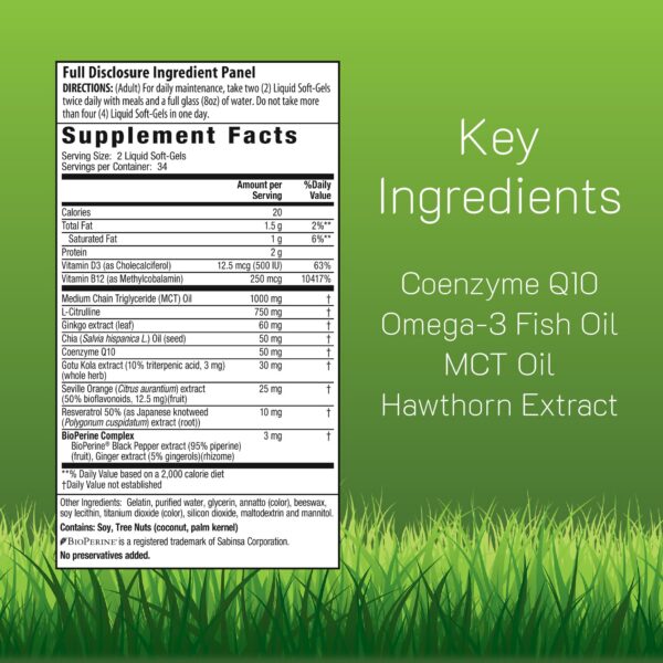 Version 1.0.0 Etiqueta trasera con información