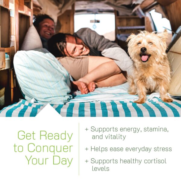 Version 1.0.0 Envase de gomitas Maca Ashwagandha