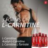 iSatori-L-Carnitina-LS3-información-del-producto