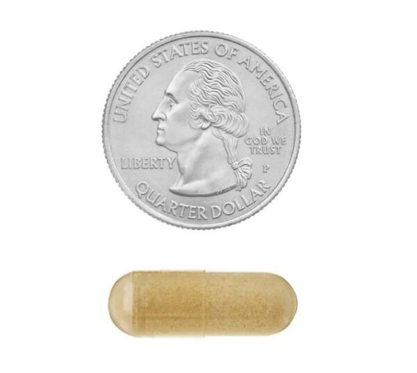 Detalle de etiqueta NAC