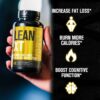 Version 1.0.0 Lean XT Lean PM bundle caja