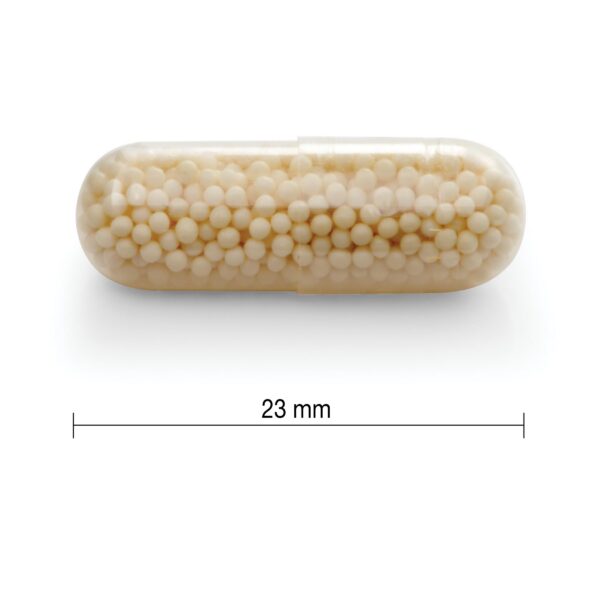 Caja exterior Jamieson Vitamina C 500 mg