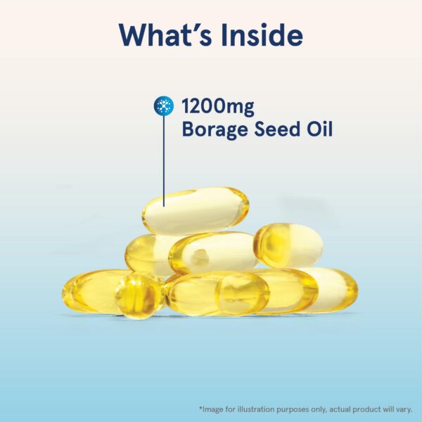 Version 1.0.0 Caja y presentación de borraja