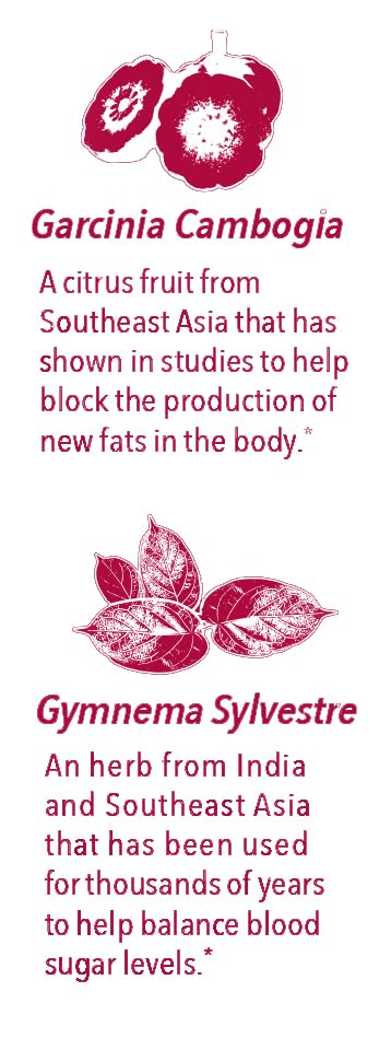 Ingredientes naturales en Javita Control mezcla instantánea para beber