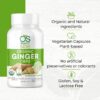 Jengibre orgánico en cápsulas para bienestar y salud digestiva