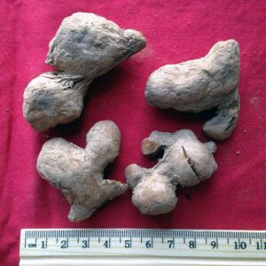 jengibre-rapidamente-frito-xyp-100g-paijiang