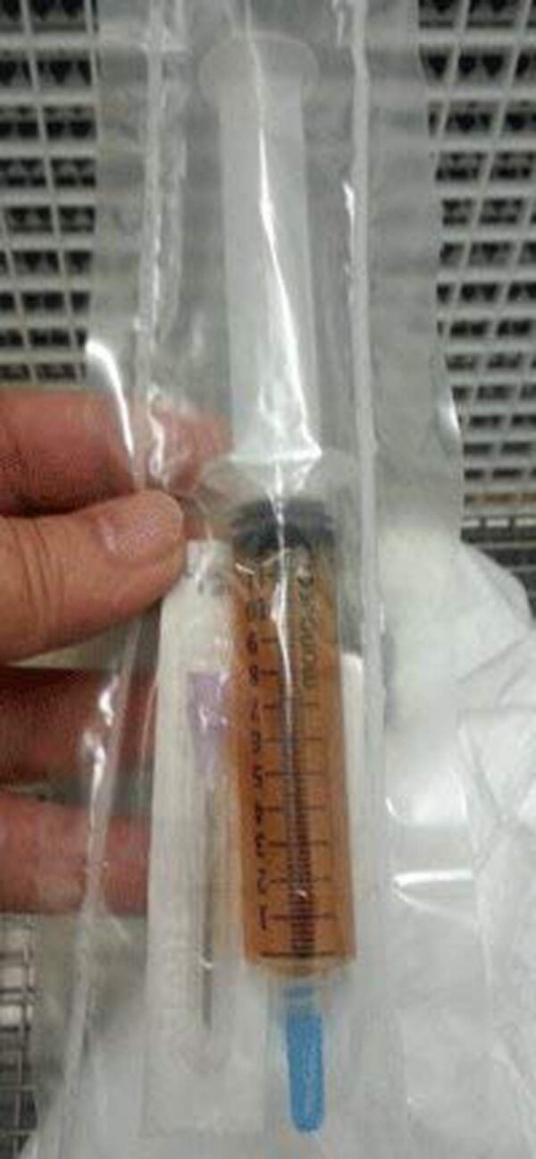 Jeringa de cultivo líquido de hongo Reishi o Ling Chi