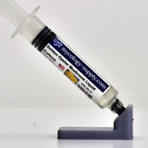 Version 1.0.0 Jeringa de cultivo líquido de Ostra Dorada de 10ml