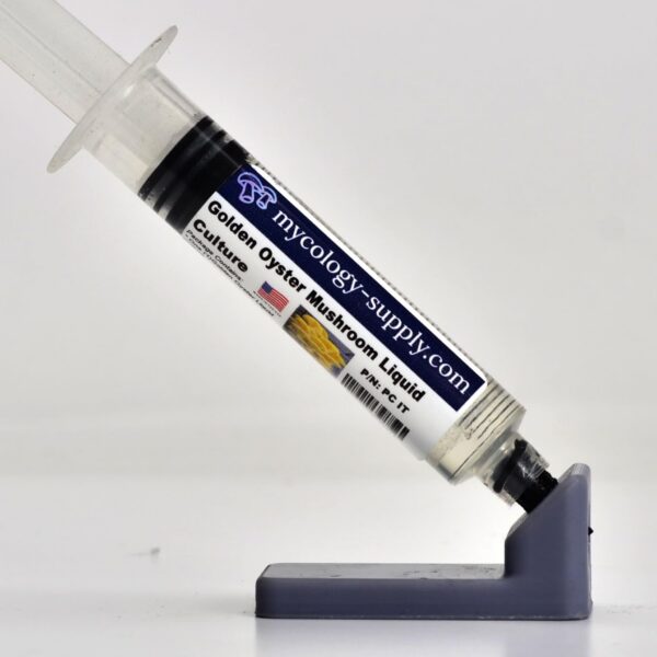 Jeringa de cultivo líquido de Ostra Dorada de 10ml