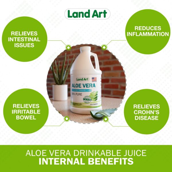 Jugo aloe vera y clorofila Land Art paquete saludable
