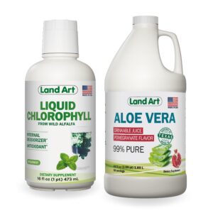 Botella jugo de Aloe Vera Land Art 99.7% sabor granada 64fl